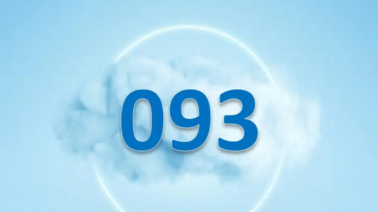 093 là đầu số mạng nào