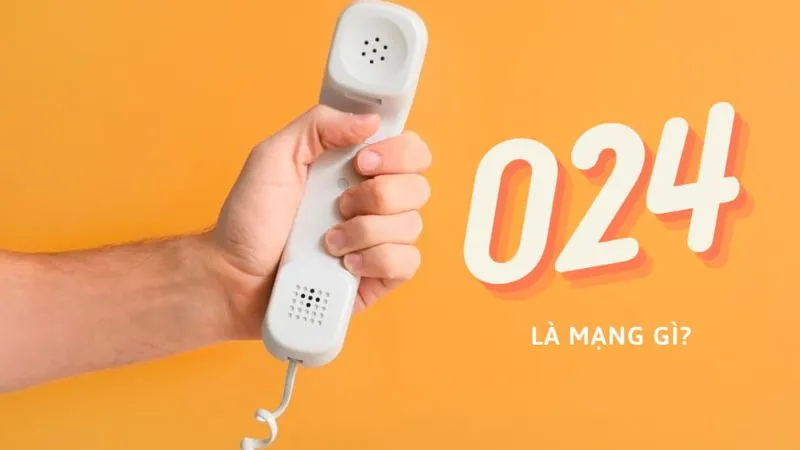 đầu số 024
